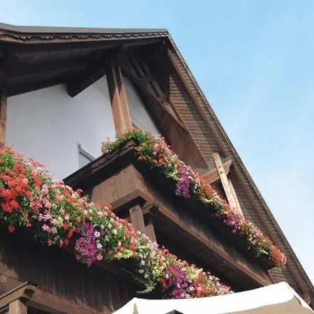 Zur Traube Gasthuis 2*