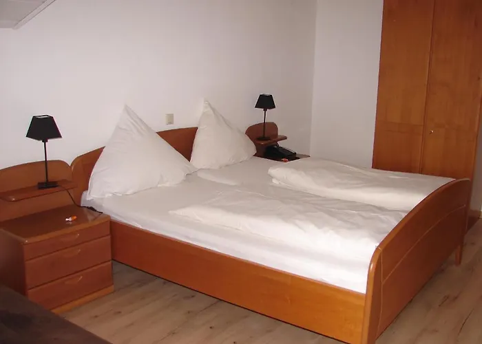 Zur Traube בית הארחה 2*